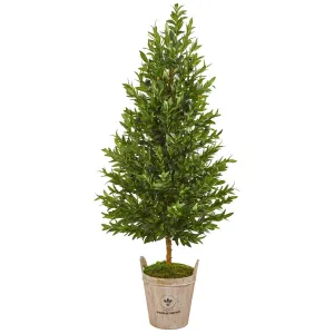 5’ Olive Cone Topiary Artificial Tree in Farmhouse Planter