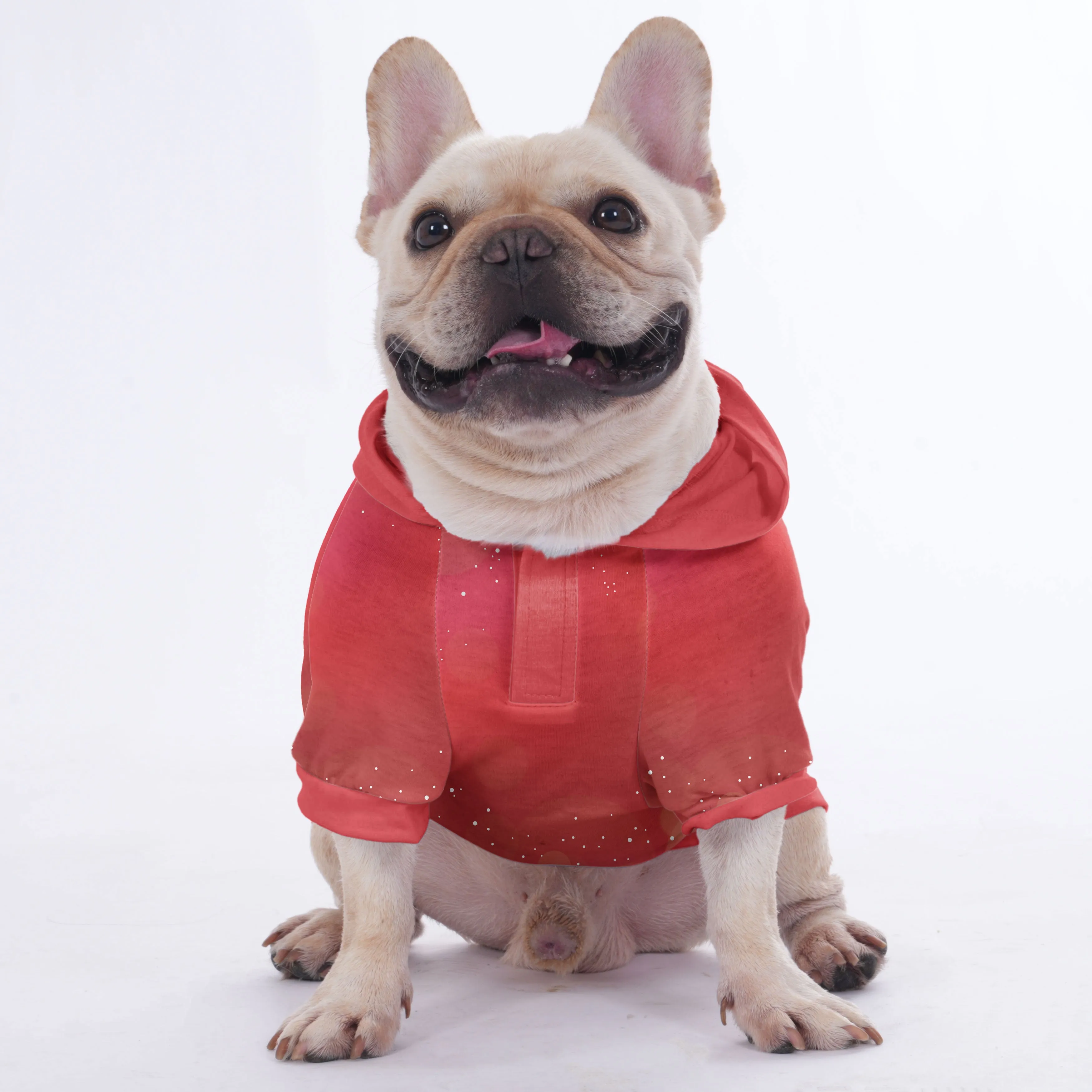 Blu - Hoodies for French Bulldog  | Frenchie Shop Original