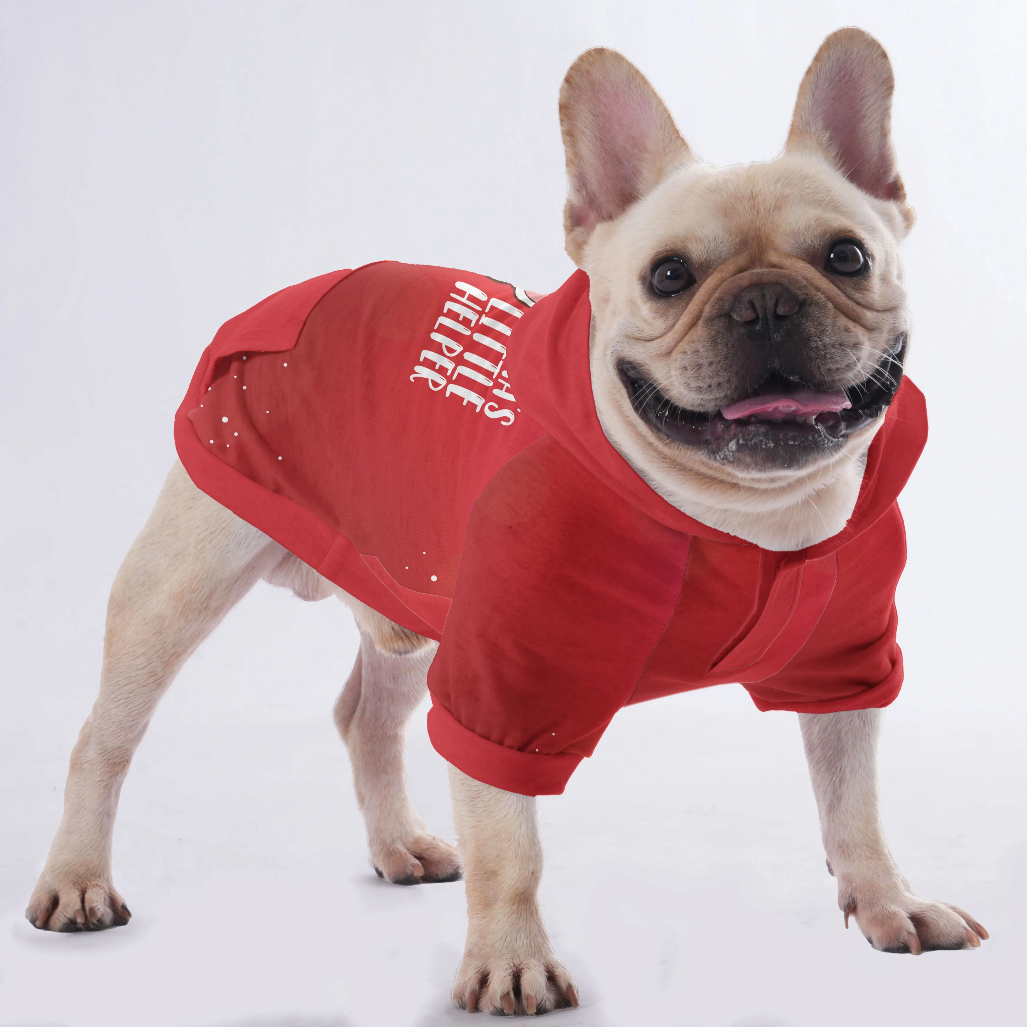 Blu - Hoodies for French Bulldog  | Frenchie Shop Original