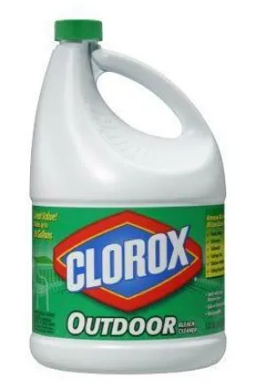 Clorox® Outdoor Bleach Cleaner