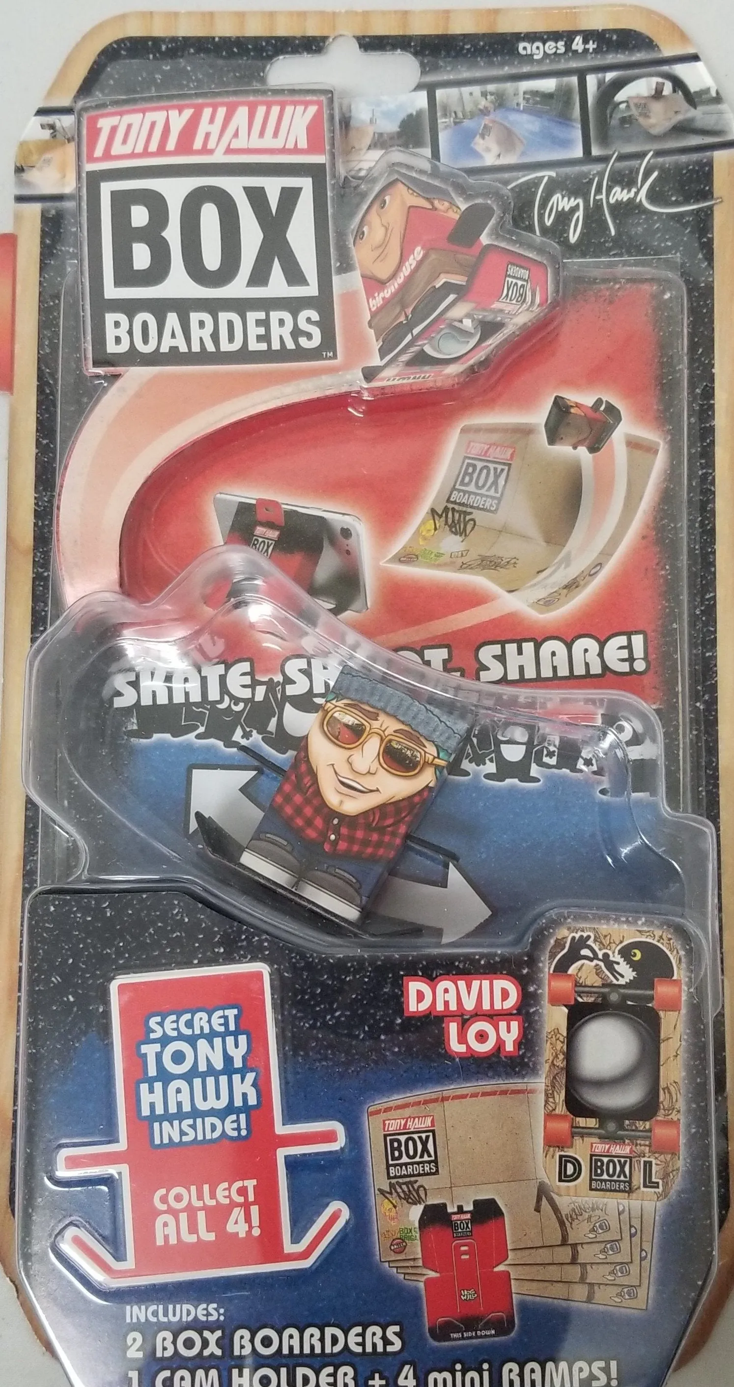 Tony Hawk Box Boarders Character-David Loy